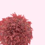 ورم المخ الحميد والخبيث